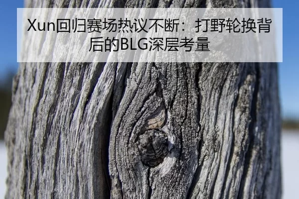 hui-gui-sai-chang-re-yi-bu-duan-da-ye-lun-huan-bei-hou-de-shen-ceng-kao-liang-2-499.jpg